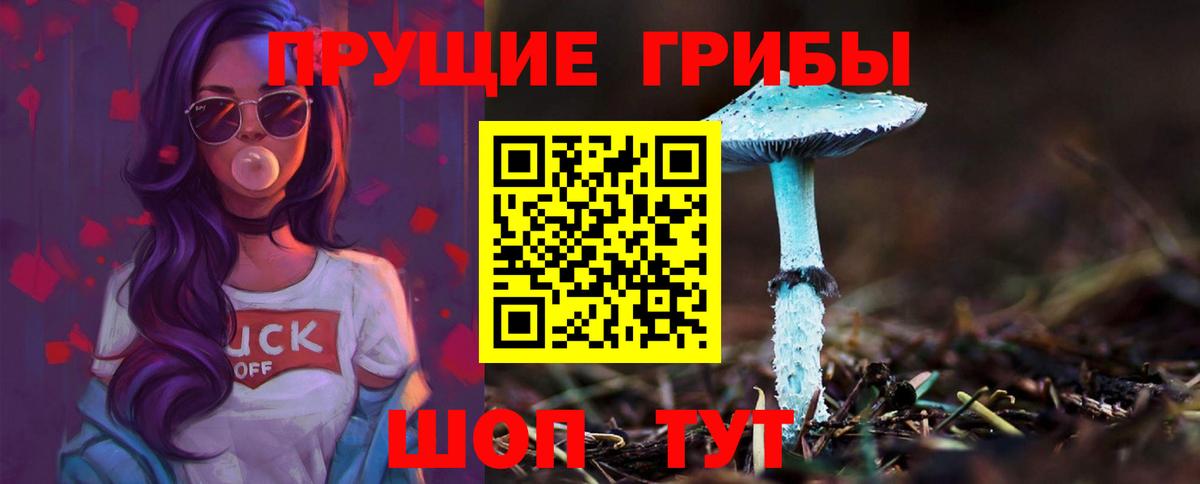 Галлюциногенные грибы Magic Shrooms Рыбинск