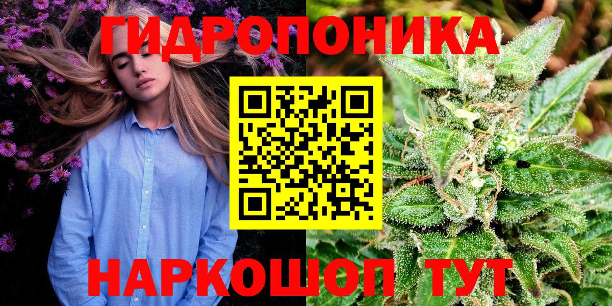Рыбинск  Марихуана сатива  Вход с VPN  Конопля план 